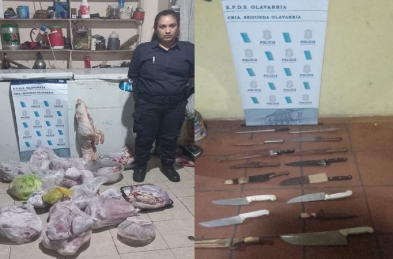En allanamientos encontraron ms de 120 kilos de carne